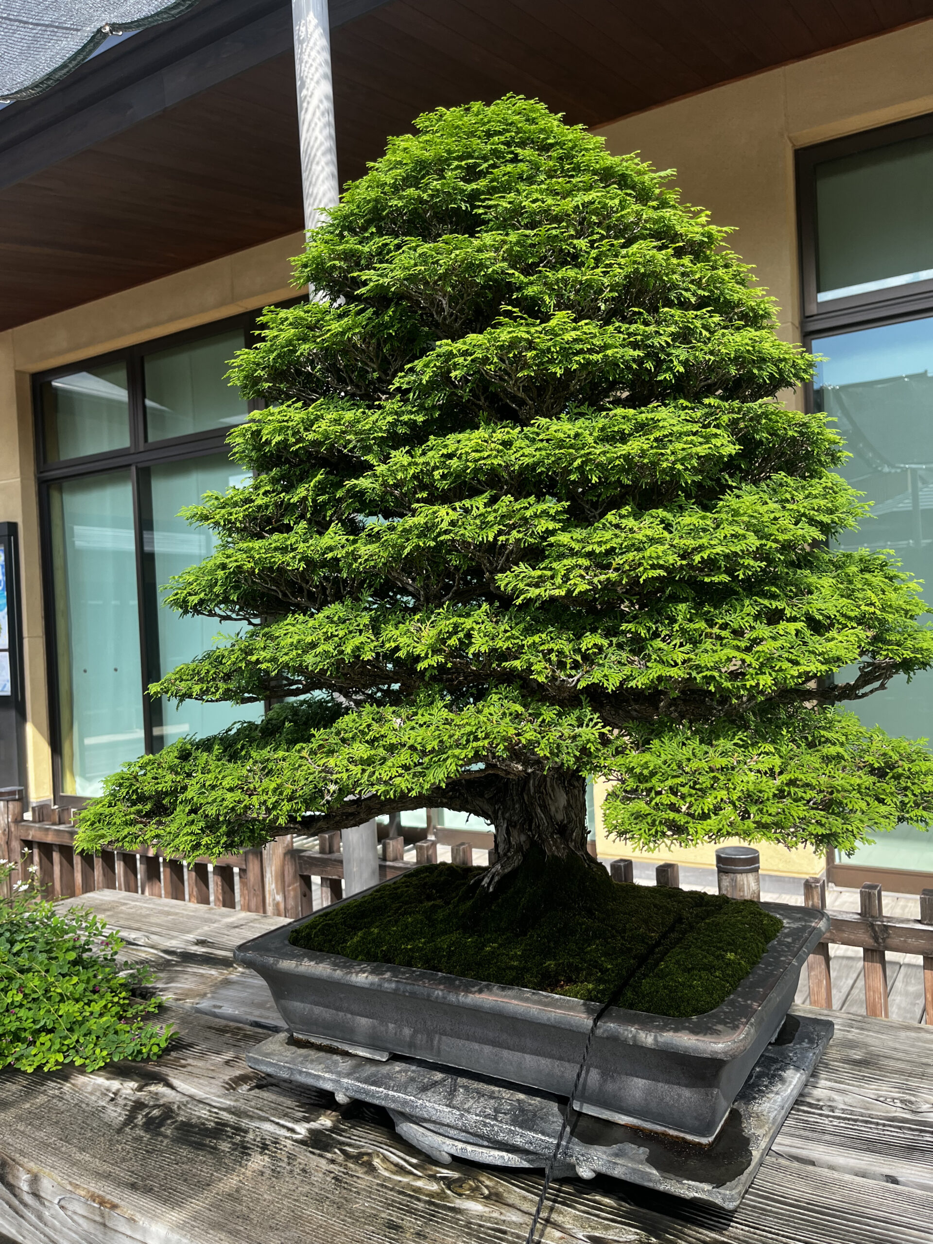 企画展示室では、子どもたちも楽しく学べる！